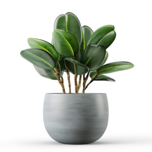 Test Product 2